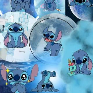 Stitch PFP wallpaper