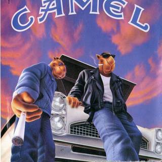 Camel cigarettes wallpaper