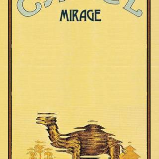 Camel cigarettes wallpaper