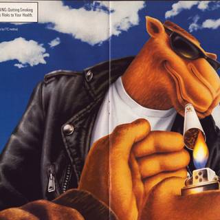 Camel cigarettes wallpaper
