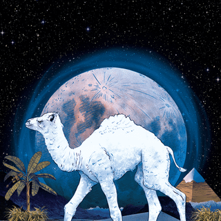 Camel cigarettes wallpaper