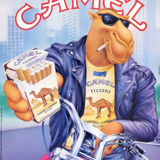 Camel cigarettes wallpaper