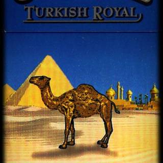 Camel cigarettes wallpaper