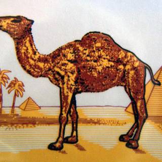 Camel cigarettes wallpaper