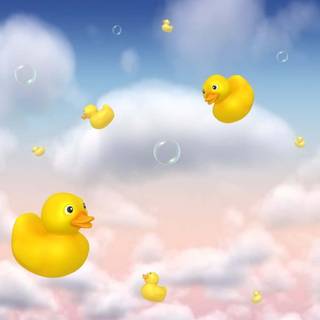 Cute ducky wallpaper