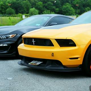 Ford Mustang yellow wallpaper