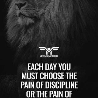 Discipline or regret wallpaper