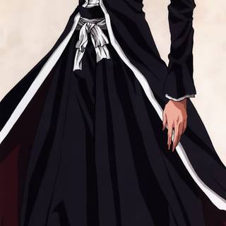 Bleach Ichigo Kurosaki wallpaper