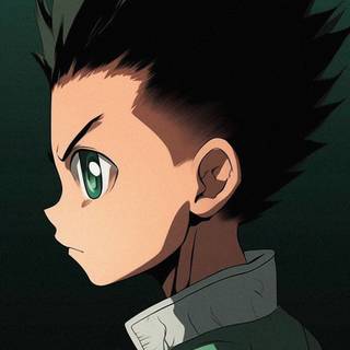 Hunter x Hunter Gon Freecss wallpaper