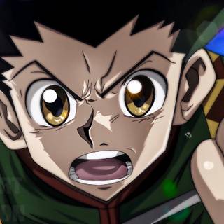 Hunter x Hunter Gon Freecss wallpaper