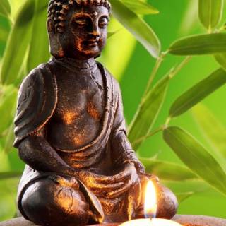 Buddha mobile 4k wallpaper