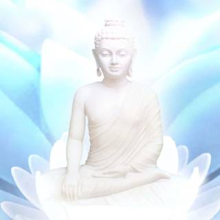 Buddha mobile 4k wallpaper