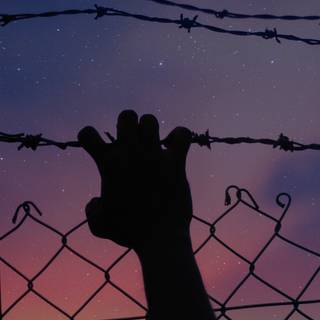 Freedom phone wallpaper