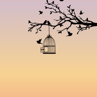 Freedom phone wallpaper