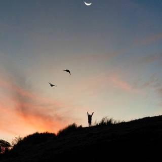 Freedom phone wallpaper