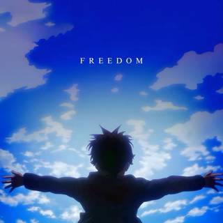 Freedom phone wallpaper