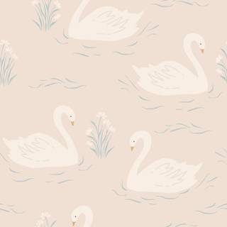 Swan wallpaper