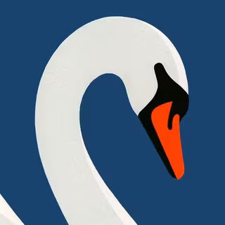 Swan wallpaper