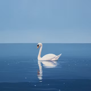 Swan wallpaper