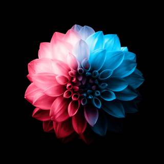 Phone 4k oled wallpaper