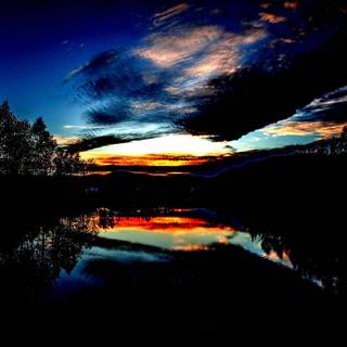 Oled nature wallpaper