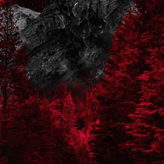 Dark nature 4k iPhone wallpaper