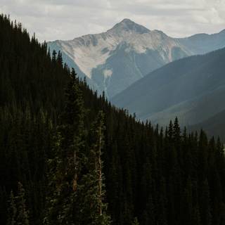 Dark nature 4k iPhone wallpaper