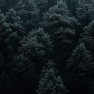 Dark nature 4k iPhone wallpaper