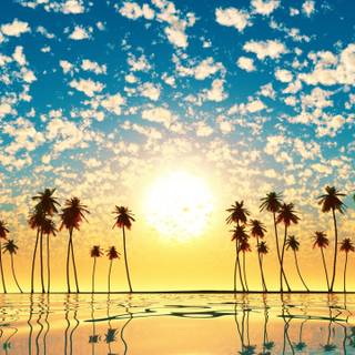 Sunset phone 4k wallpaper