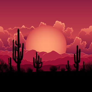 Sunset phone 4k wallpaper