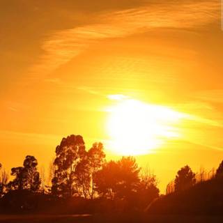 Sunset phone 4k wallpaper