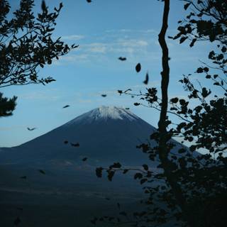 Mt Fuji iPhone wallpaper