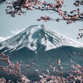 Mt Fuji iPhone wallpaper