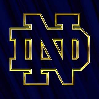 Notre Dame phone wallpaper