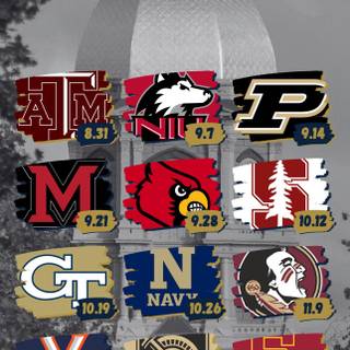Notre Dame phone wallpaper