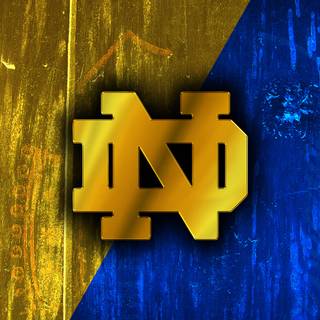 Notre Dame phone wallpaper