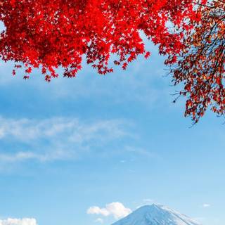 Mt Fuji iPhone wallpaper