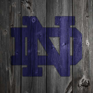 Notre Dame phone wallpaper