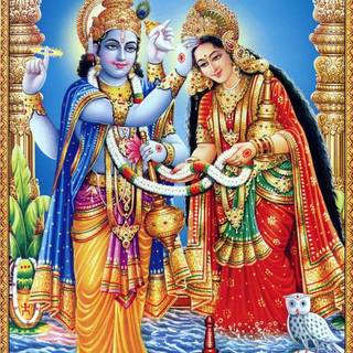 Lord Vishnu phone wallpaper