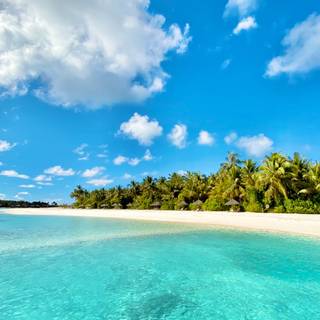 Caribbean iPhone wallpaper