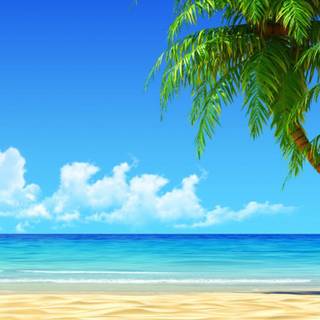 Caribbean iPhone wallpaper