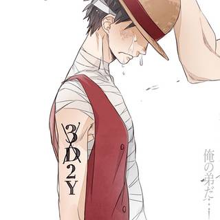 One Piece phone HD wallpaper