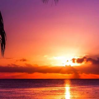 Sunset beach iPhone wallpaper