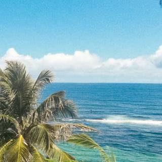 Caribbean iPhone wallpaper