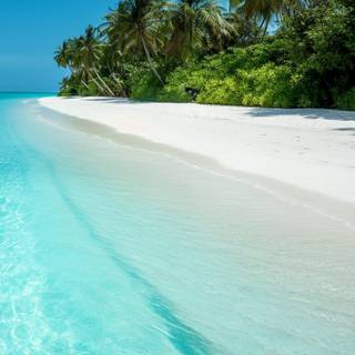 Caribbean iPhone wallpaper