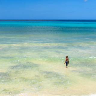 Caribbean iPhone wallpaper