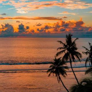 Sunset beach iPhone wallpaper