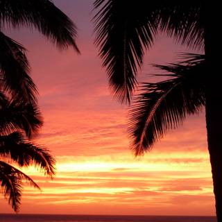 Sunset beach iPhone wallpaper