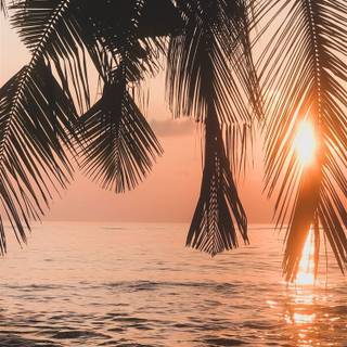 Sunset beach iPhone wallpaper