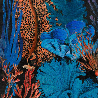 Reef phone wallpaper